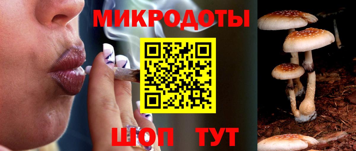 Галлюциногенные грибы мицелий Алексеевка