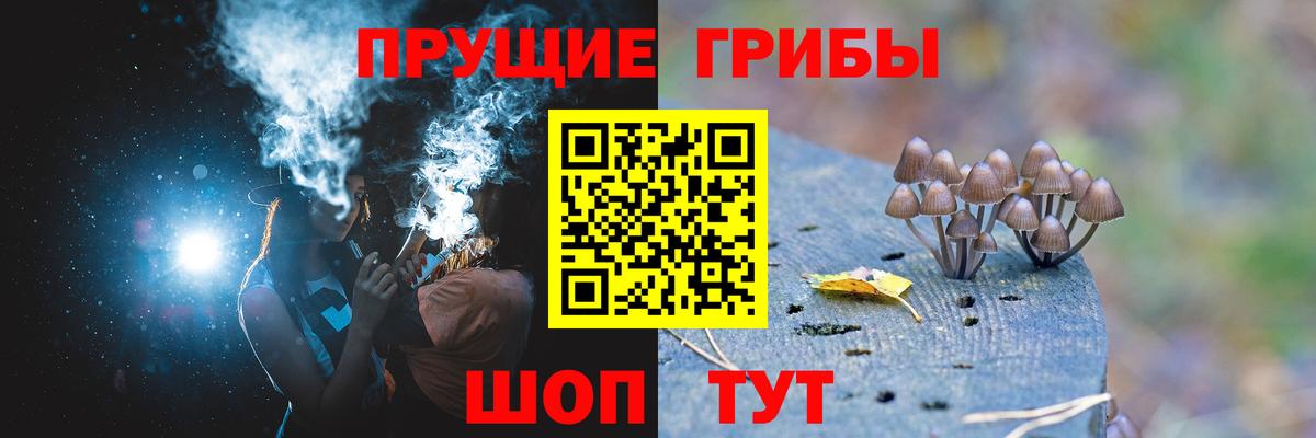 Псилоцибиновые грибы мицелий  Вход с VPN  Алексеевка 
